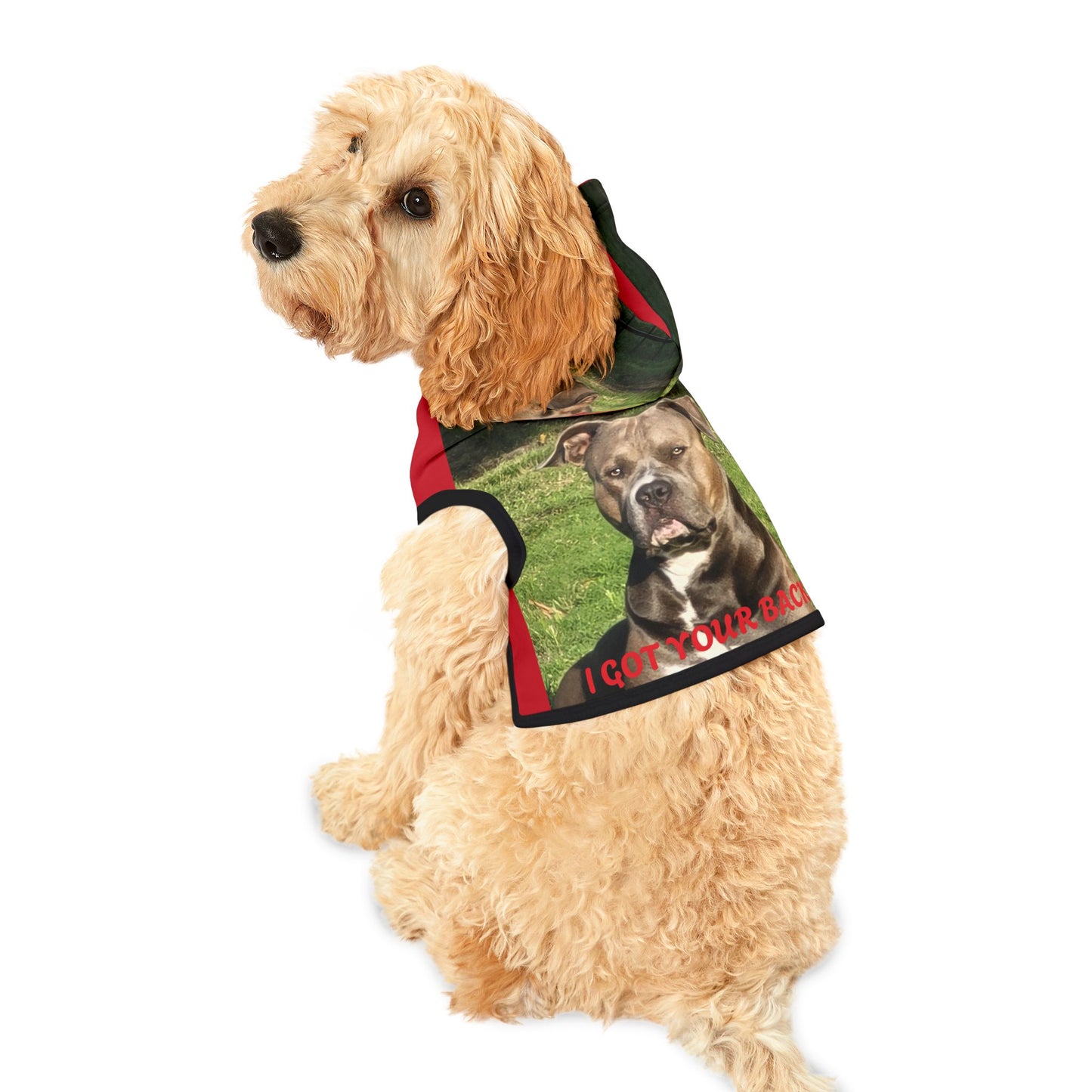 Pet Hoodie