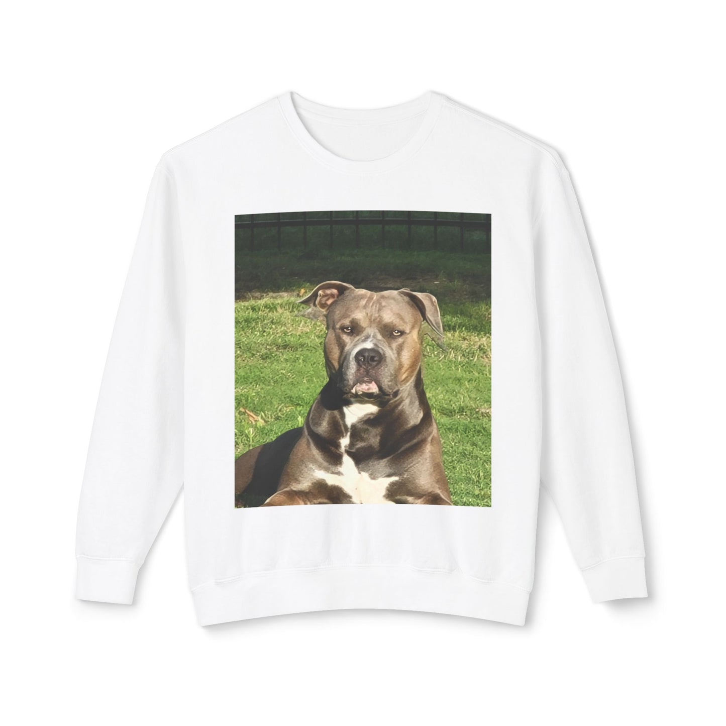 Unisex Lightweight Crewneck Sweatshirt