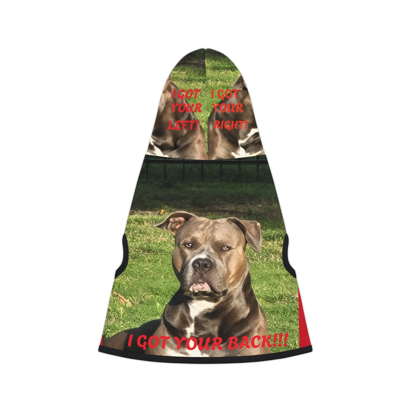 Pet Hoodie