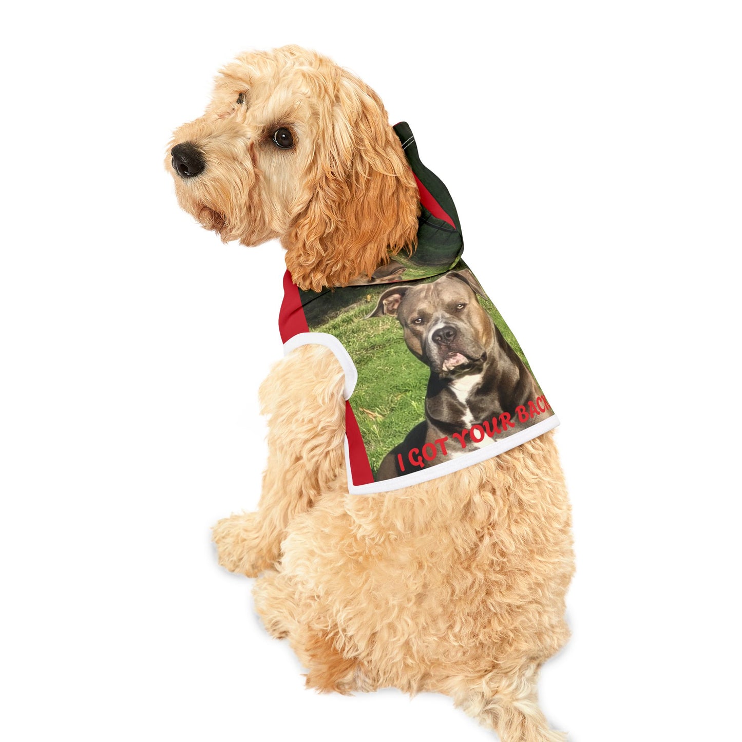 Pet Hoodie