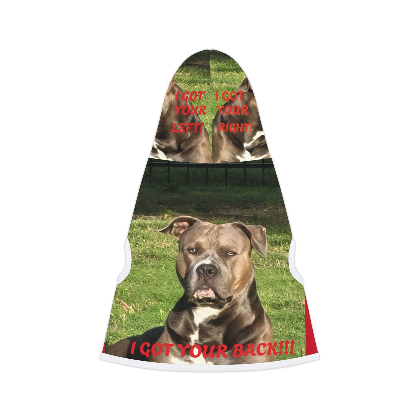 Pet Hoodie